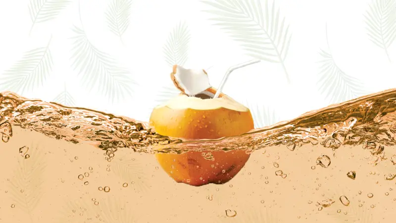 King Coconut Drink